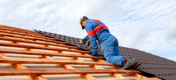 Best Asphalt Shingle Roofing  in Payson, UT